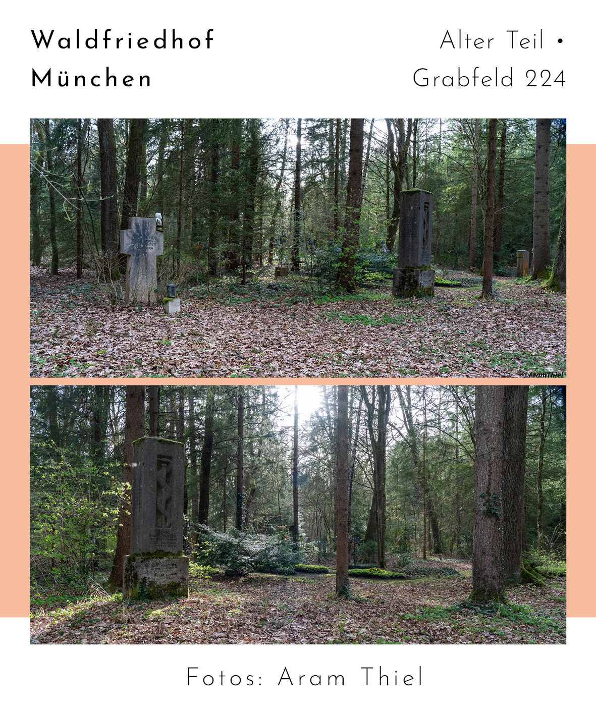 Das Grab befindet sich auf dem Waldfriedhof • Alter Teil in München. Grabfeld 224